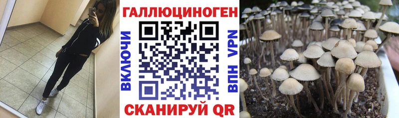 Псилоцибиновые грибы прущие грибы  Краснослободск 